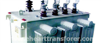 Pushing The Amorphous Transformer to Open The Future Growth Space