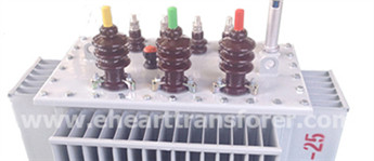Inspection of Oil-immersed Transformers